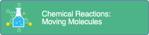 Chemistry Activity